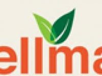 Wellmart Logo
